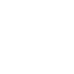Cerdo